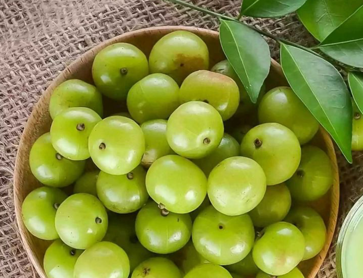 Amla-500g