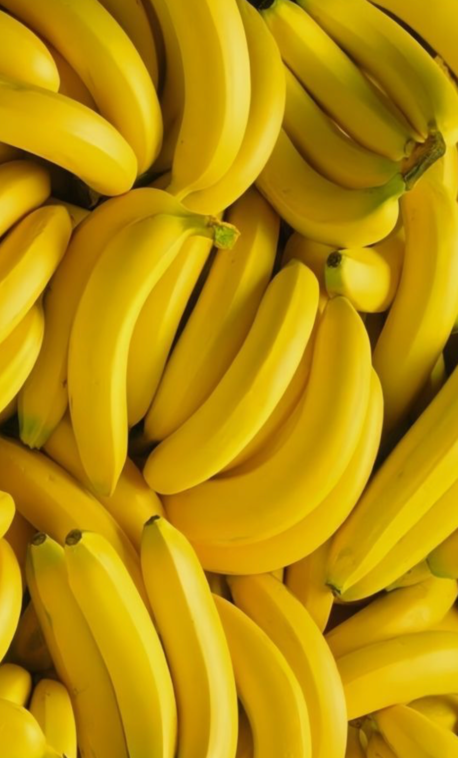 Robusta Bananas -500g