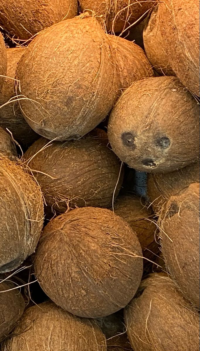 Coconut - 1 pc