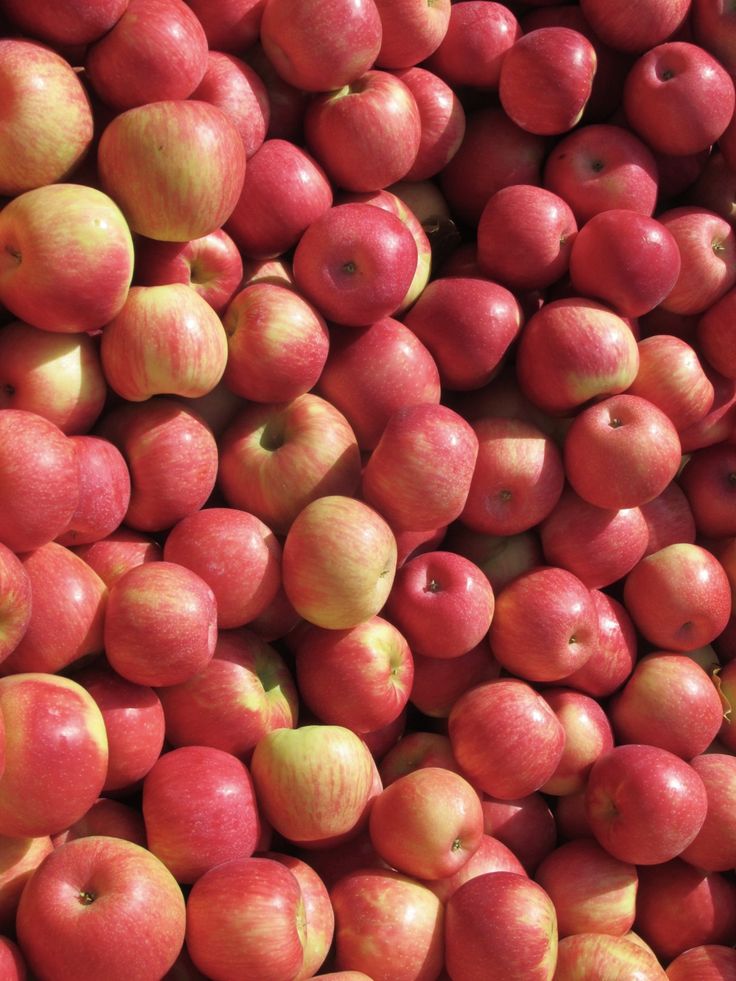 Apple Fuji Special - 250g