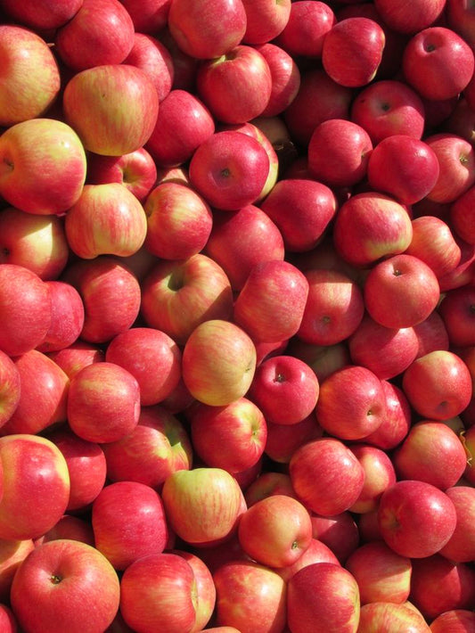 Apple Fuji Special - 250g