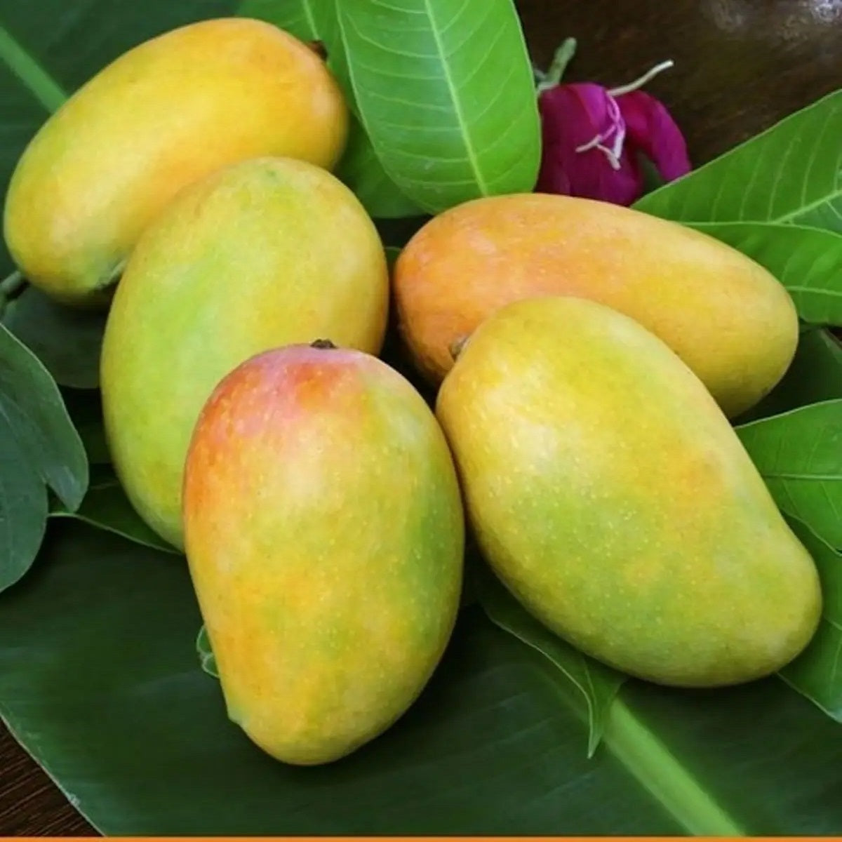 Mango Keshar-1kg